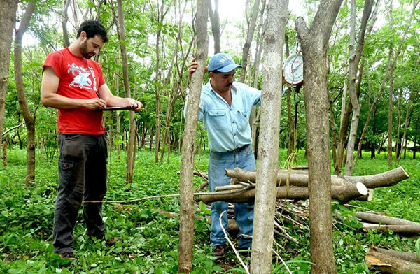 csm_klimaschutzprojekt-nicaragua-7186-2