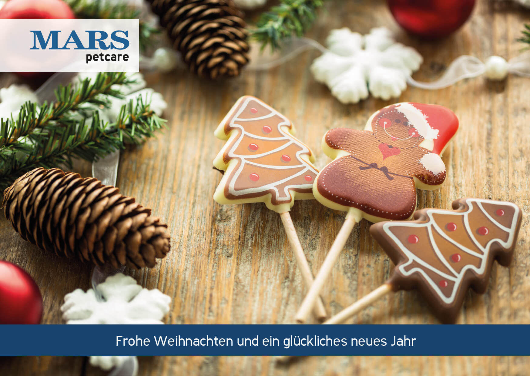 Beispielkarte Partner Mars vorne