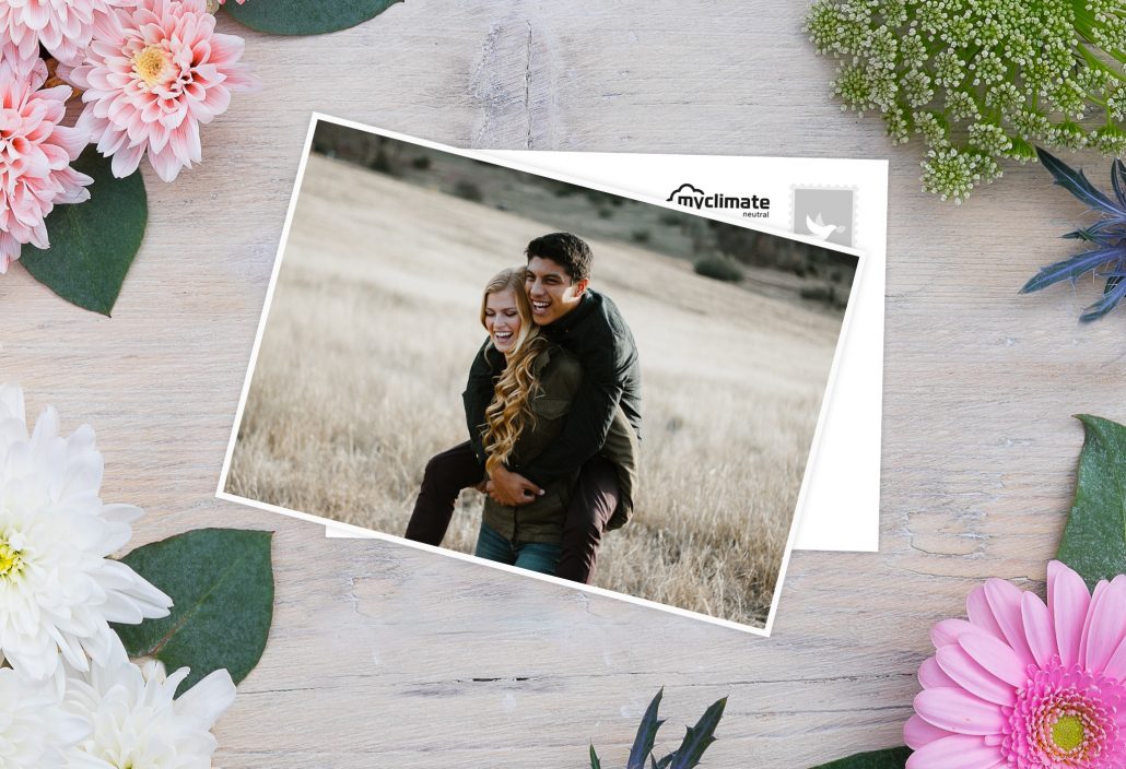 Anniversary cards with two friends on a meadow