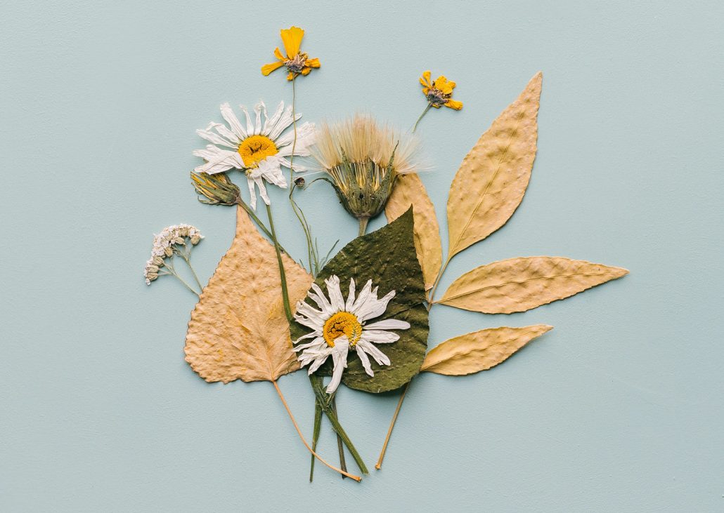 Bricolage carte postale avec des fleurs et des feuilles pressées